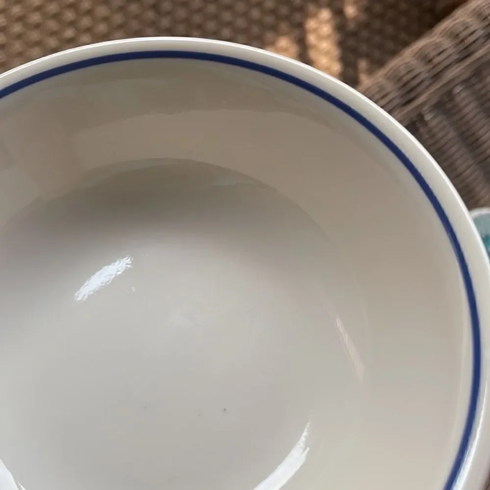 Set of 2 Corelle Sandstone Navy Band Berry Dishes